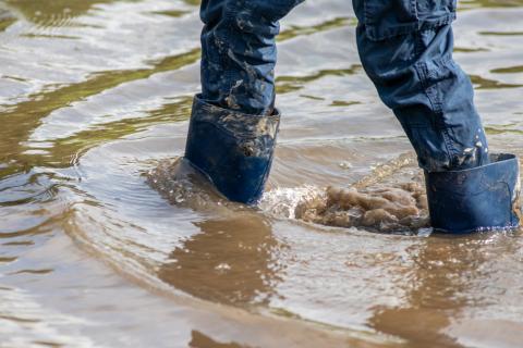 Soforthilfe für vom Hochwasser Betroffene